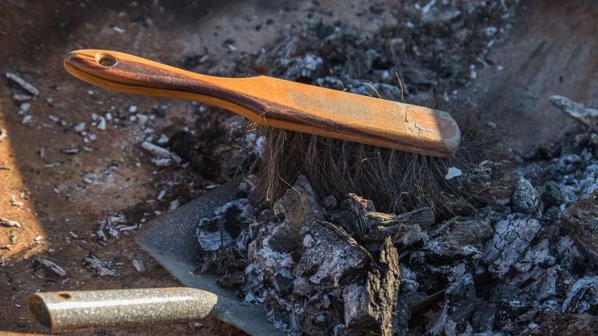 Viele kippen sie weg, dabei ist Holzasche ein Schatz im Garten : ein Gärtner erklärt, wie man sie nutzt